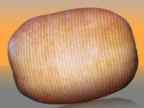 Jamón con hueso (FCR)